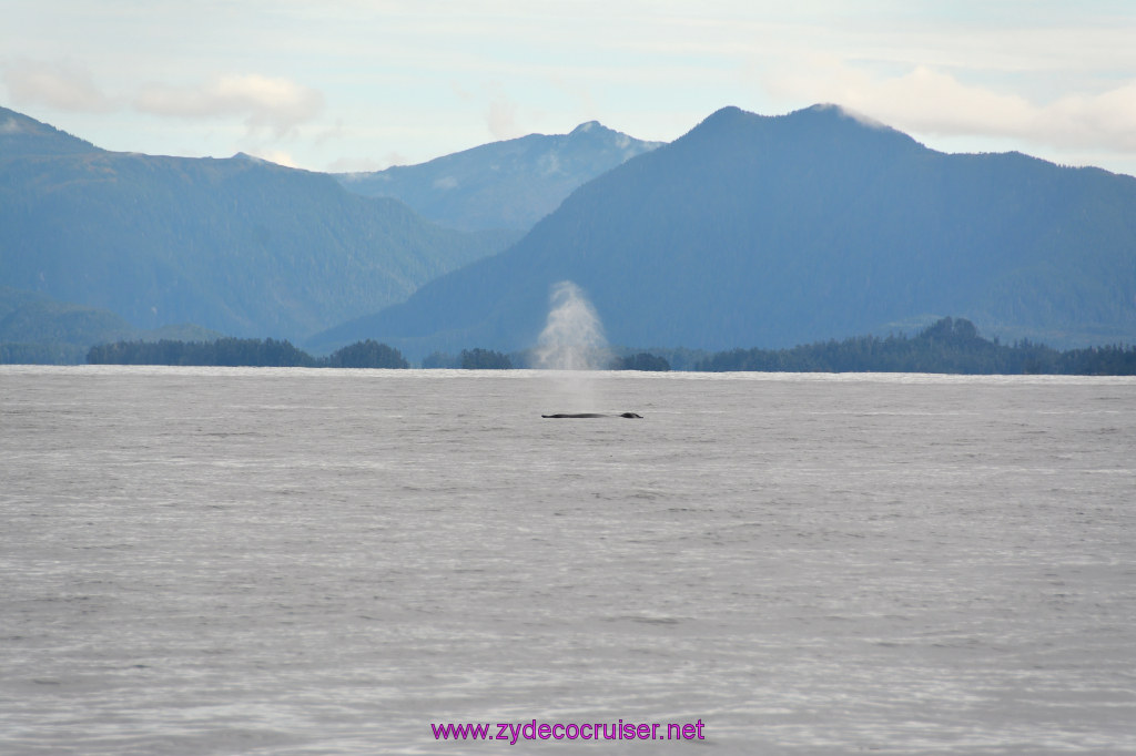 189: Carnival Miracle Alaska Cruise, Sitka, Jet Cat Wildlife Quest And Beach Exploration Excursion, 