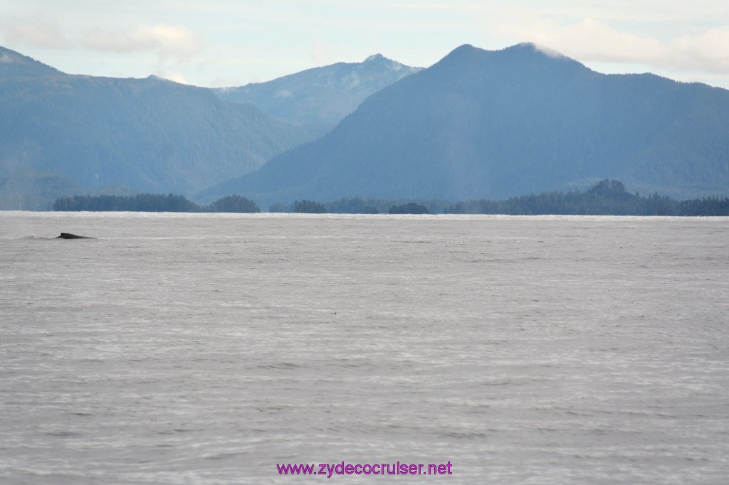 190: Carnival Miracle Alaska Cruise, Sitka, Jet Cat Wildlife Quest And Beach Exploration Excursion, 