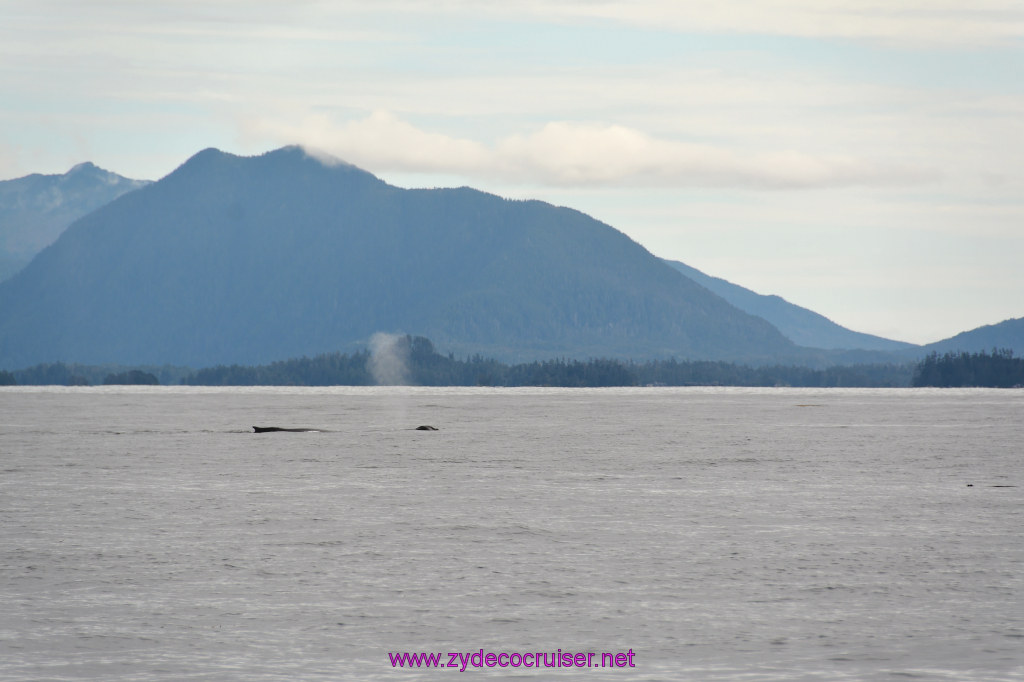 191: Carnival Miracle Alaska Cruise, Sitka, Jet Cat Wildlife Quest And Beach Exploration Excursion, 