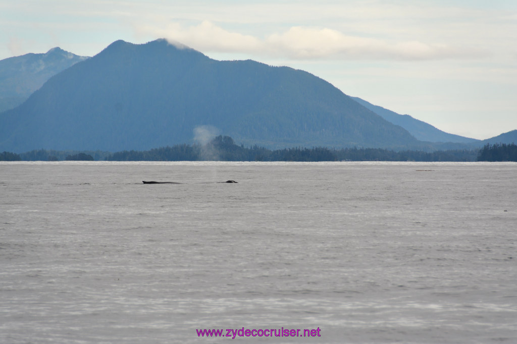 192: Carnival Miracle Alaska Cruise, Sitka, Jet Cat Wildlife Quest And Beach Exploration Excursion, 