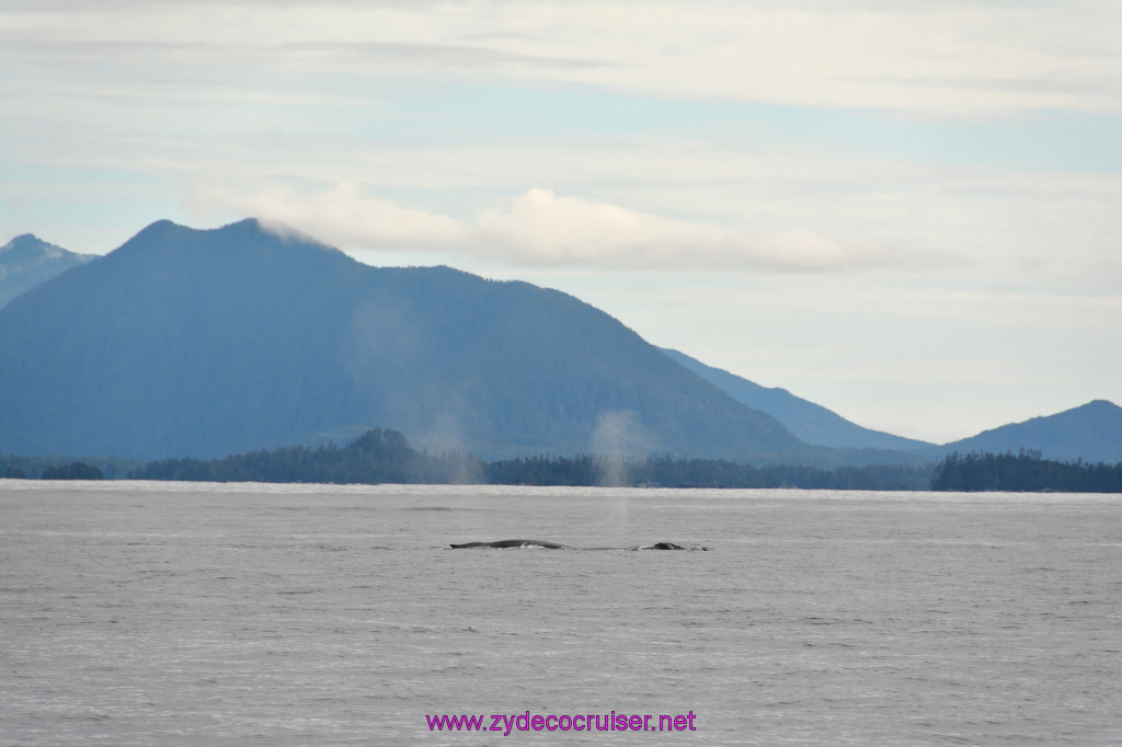 193: Carnival Miracle Alaska Cruise, Sitka, Jet Cat Wildlife Quest And Beach Exploration Excursion, 