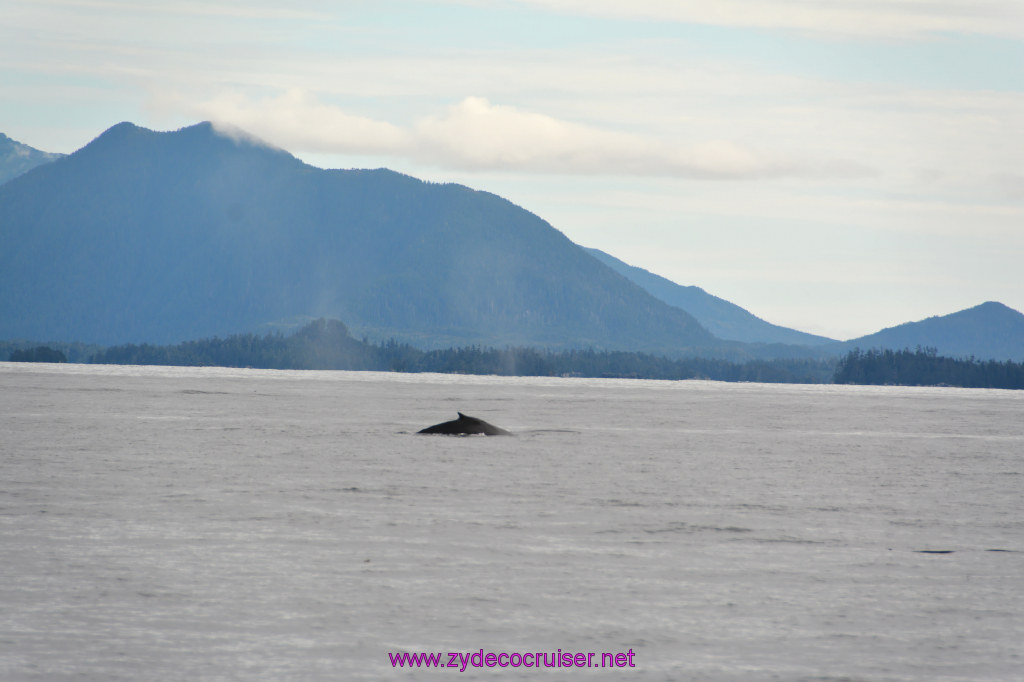 194: Carnival Miracle Alaska Cruise, Sitka, Jet Cat Wildlife Quest And Beach Exploration Excursion, 