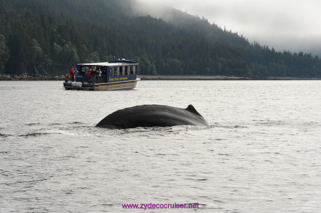 256: Carnival Miracle Alaska Cruise, Juneau, Harv and Marv's Whale Watching, 