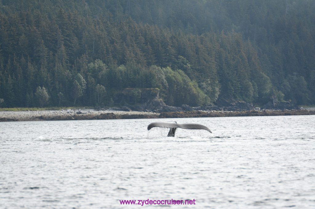 300: Carnival Miracle Alaska Cruise, Juneau, Harv and Marv's Whale Watching, 