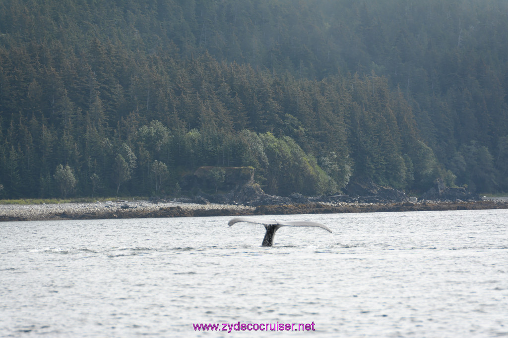 301: Carnival Miracle Alaska Cruise, Juneau, Harv and Marv's Whale Watching, 