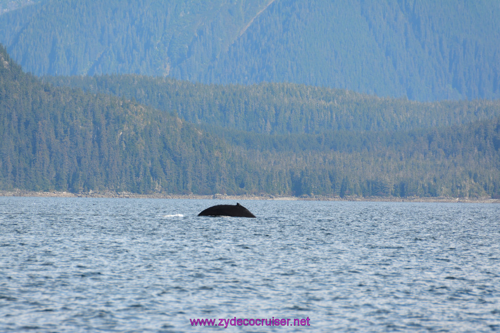 371: Carnival Miracle Alaska Cruise, Juneau, Harv and Marv's Whale Watching, 