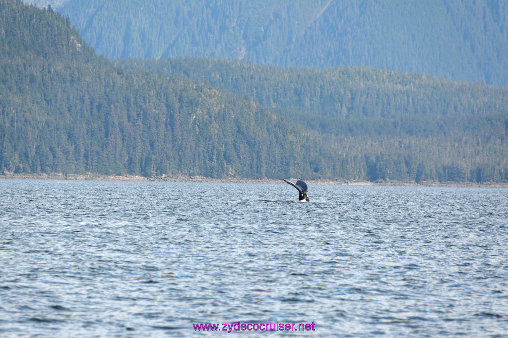 373: Carnival Miracle Alaska Cruise, Juneau, Harv and Marv's Whale Watching, 