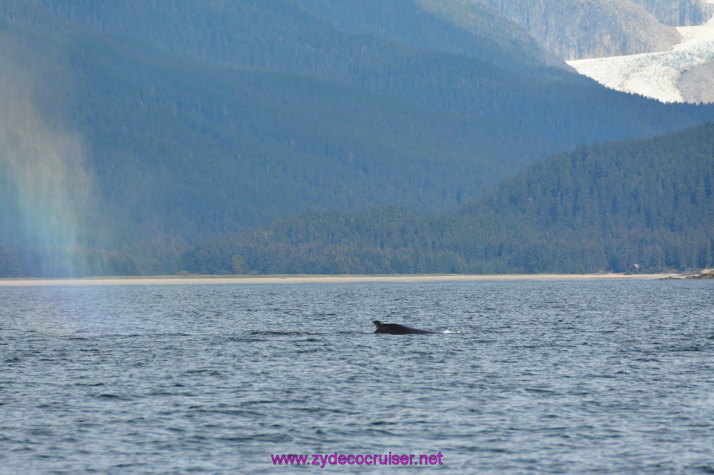 397: Carnival Miracle Alaska Cruise, Juneau, Harv and Marv's Whale Watching, 
