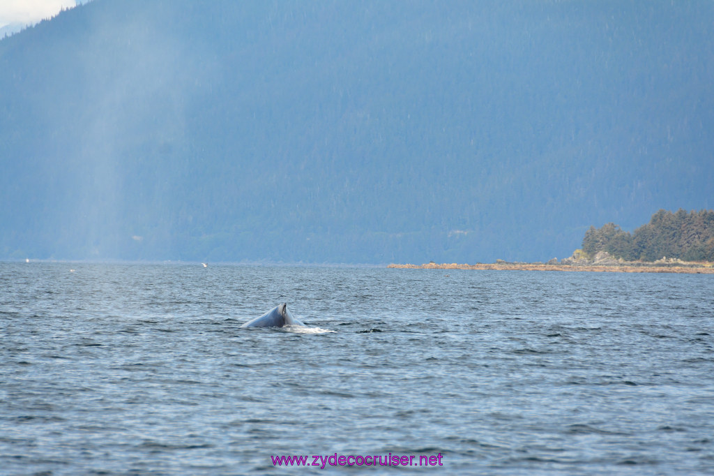 406: Carnival Miracle Alaska Cruise, Juneau, Harv and Marv's Whale Watching, 