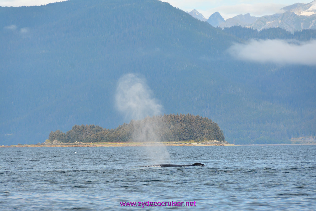 407: Carnival Miracle Alaska Cruise, Juneau, Harv and Marv's Whale Watching, 