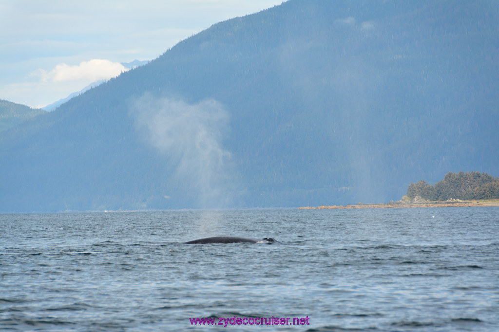 409: Carnival Miracle Alaska Cruise, Juneau, Harv and Marv's Whale Watching, 