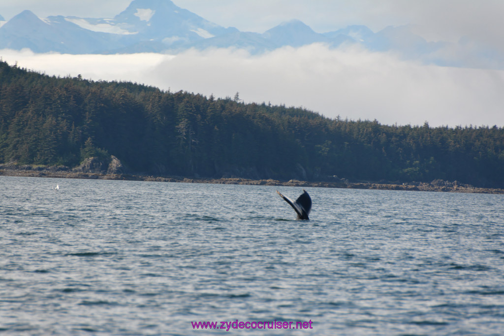 470: Carnival Miracle Alaska Cruise, Juneau, Harv and Marv's Whale Watching, 