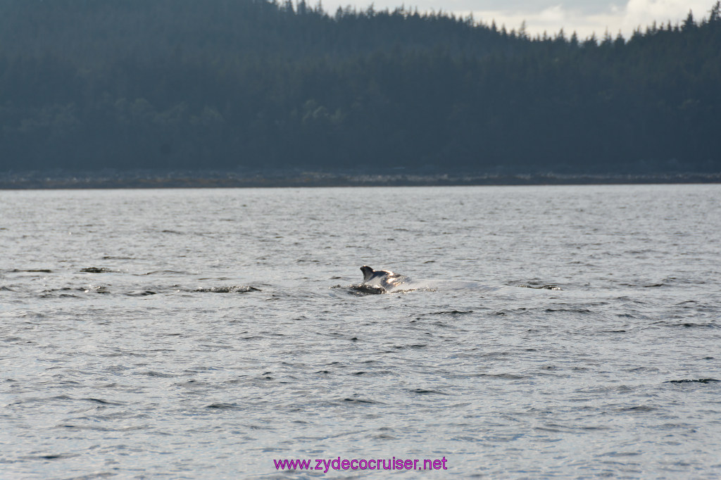506: Carnival Miracle Alaska Cruise, Juneau, Harv and Marv's Whale Watching, 