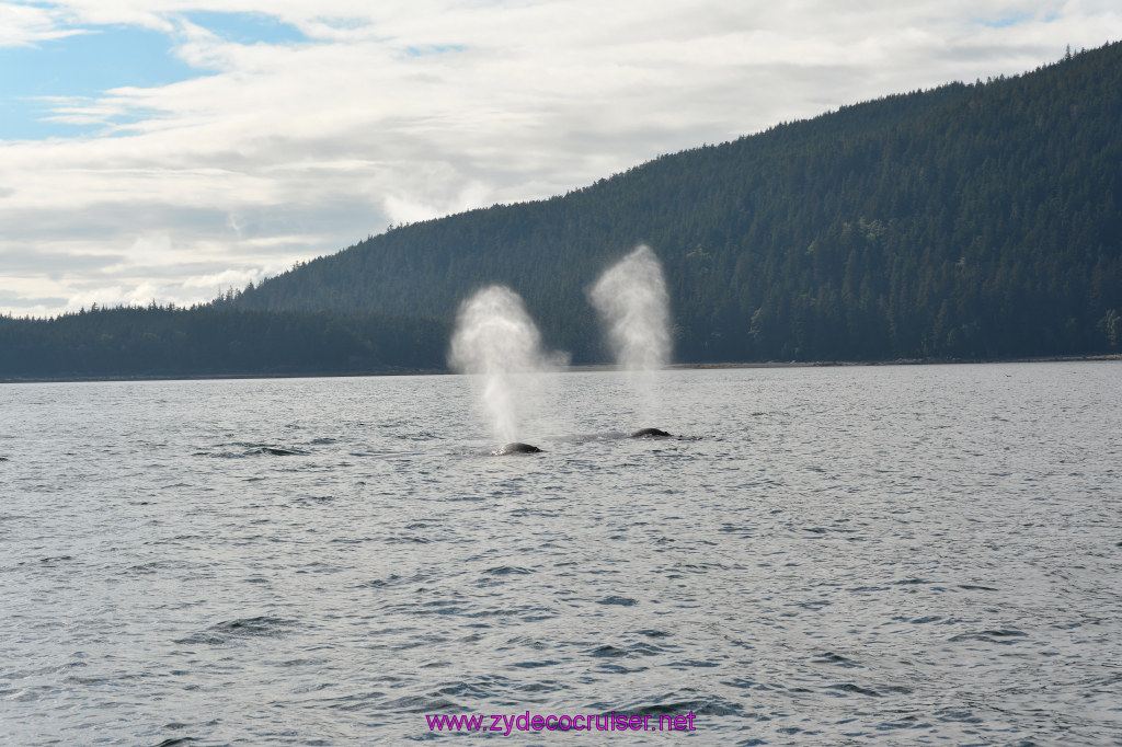 523: Carnival Miracle Alaska Cruise, Juneau, Harv and Marv's Whale Watching, 