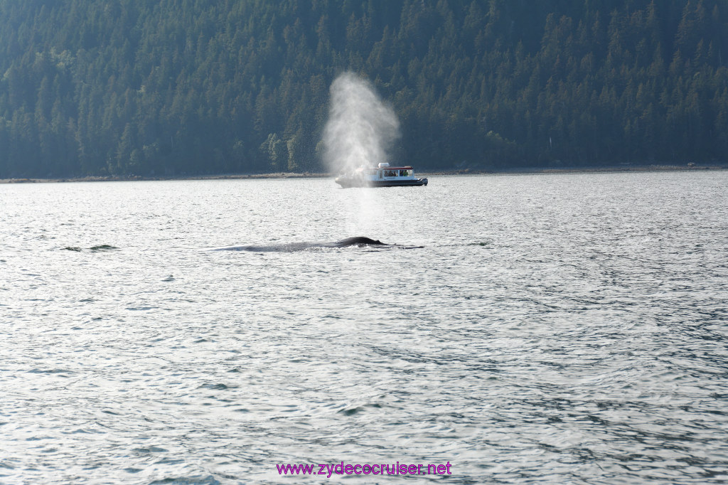 530: Carnival Miracle Alaska Cruise, Juneau, Harv and Marv's Whale Watching, 