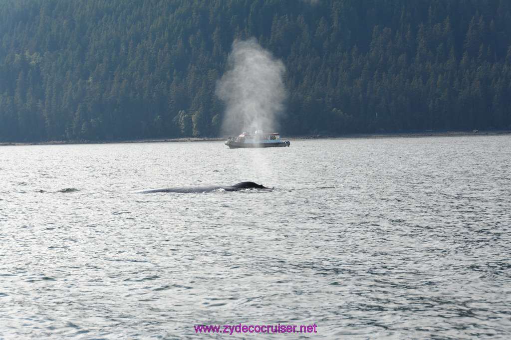 531: Carnival Miracle Alaska Cruise, Juneau, Harv and Marv's Whale Watching, 