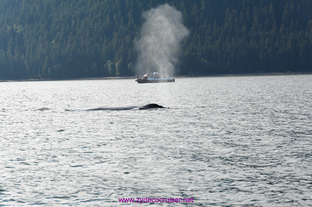 532: Carnival Miracle Alaska Cruise, Juneau, Harv and Marv's Whale Watching, 
