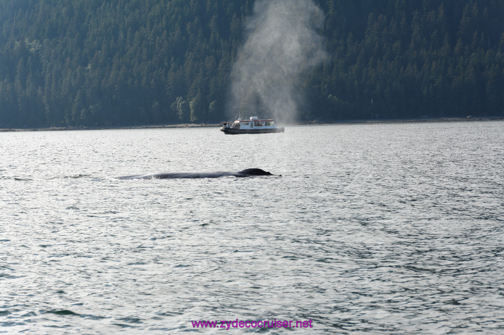 533: Carnival Miracle Alaska Cruise, Juneau, Harv and Marv's Whale Watching, 