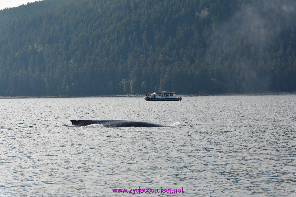 534: Carnival Miracle Alaska Cruise, Juneau, Harv and Marv's Whale Watching, 