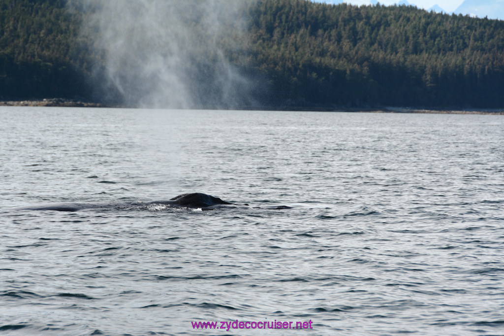 543: Carnival Miracle Alaska Cruise, Juneau, Harv and Marv's Whale Watching, 