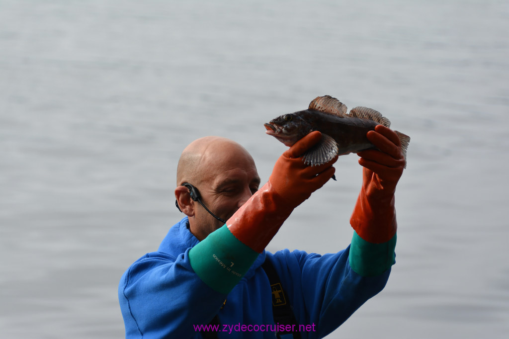 140: Carnival Miracle Alaska Cruise, Ketchikan, Bering Sea Crab Fisherman's Tour, 