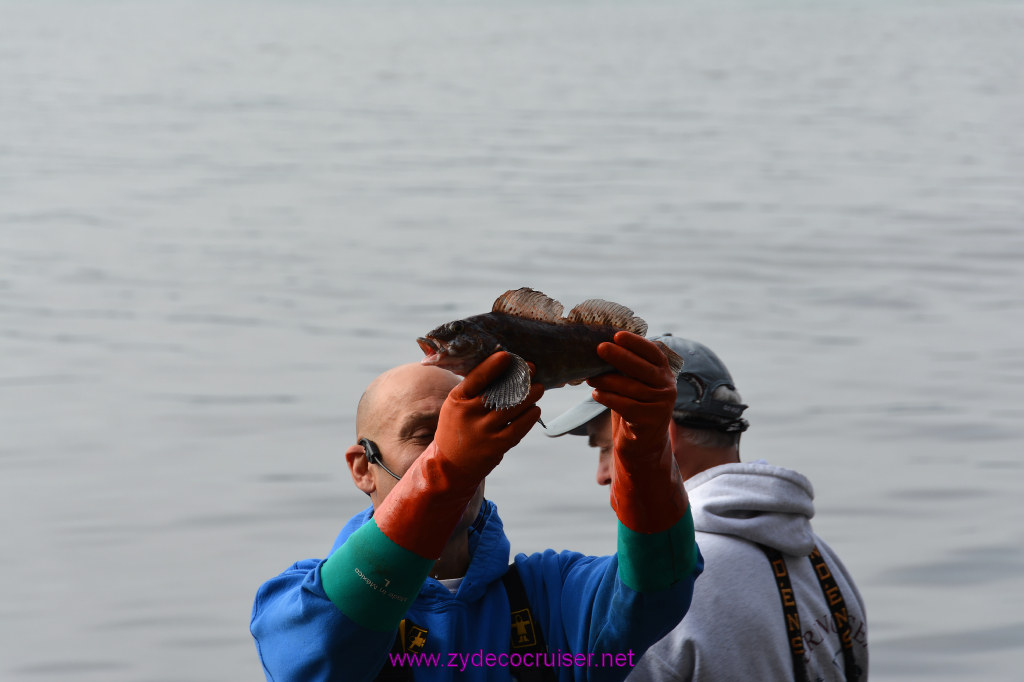 142: Carnival Miracle Alaska Cruise, Ketchikan, Bering Sea Crab Fisherman's Tour, 