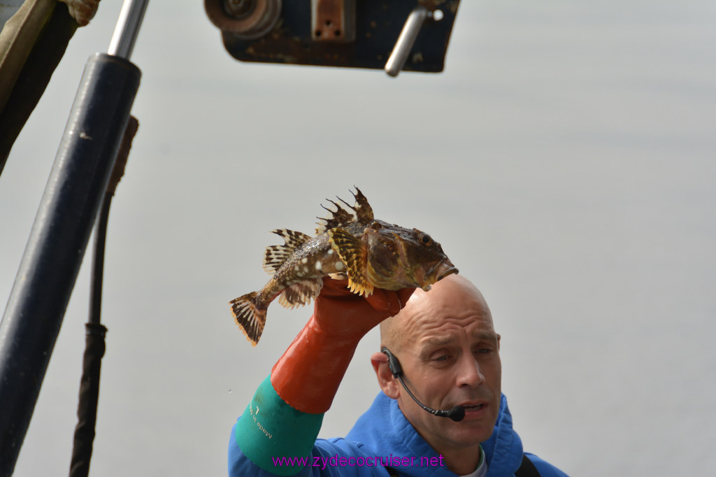 146: Carnival Miracle Alaska Cruise, Ketchikan, Bering Sea Crab Fisherman's Tour, 