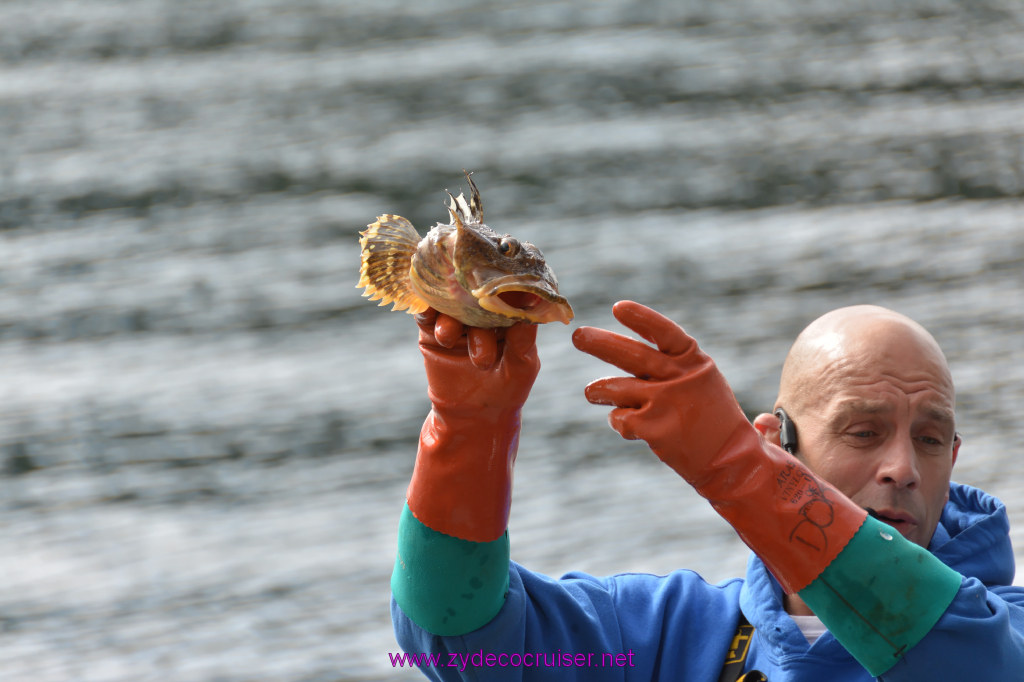 148: Carnival Miracle Alaska Cruise, Ketchikan, Bering Sea Crab Fisherman's Tour, 