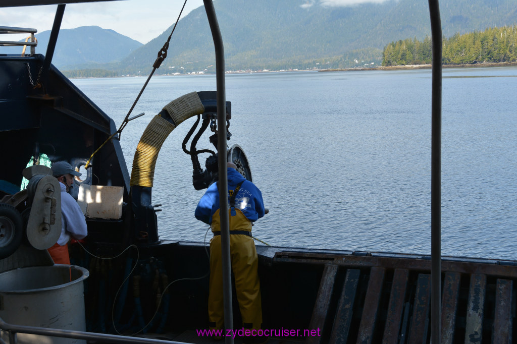 256: Carnival Miracle Alaska Cruise, Ketchikan, Bering Sea Crab Fisherman's Tour, 