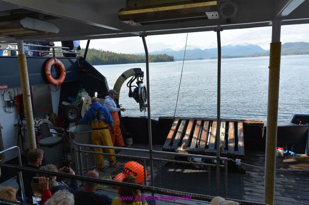 265: Carnival Miracle Alaska Cruise, Ketchikan, Bering Sea Crab Fisherman's Tour, 