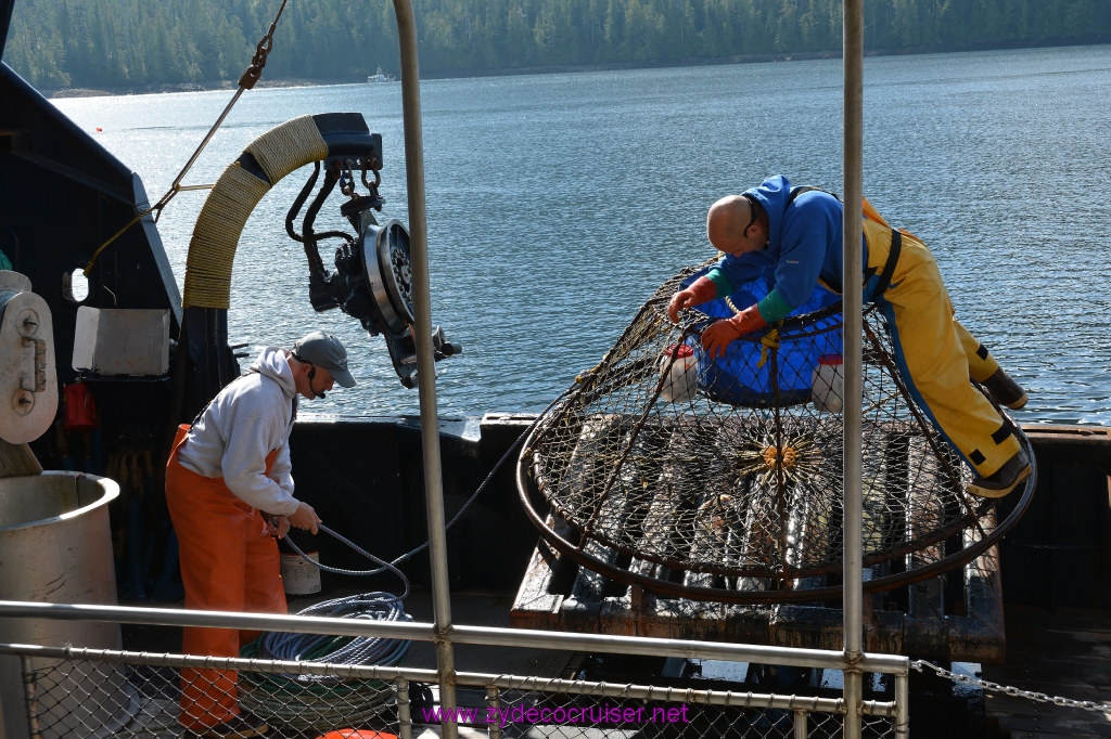 271: Carnival Miracle Alaska Cruise, Ketchikan, Bering Sea Crab Fisherman's Tour, 