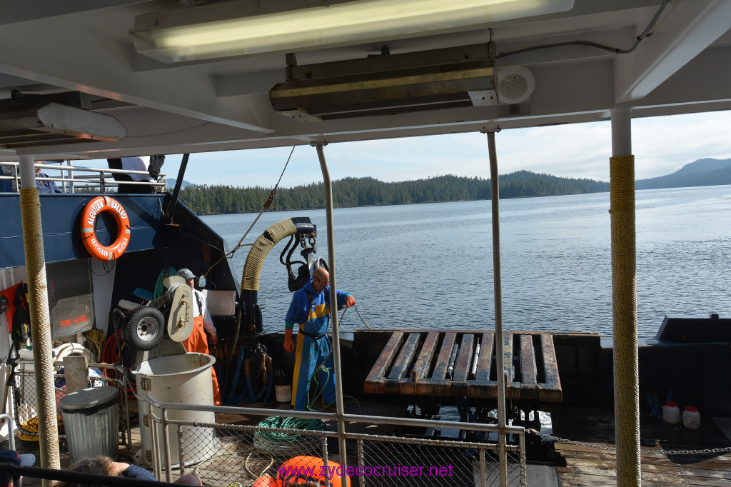 280: Carnival Miracle Alaska Cruise, Ketchikan, Bering Sea Crab Fisherman's Tour, 