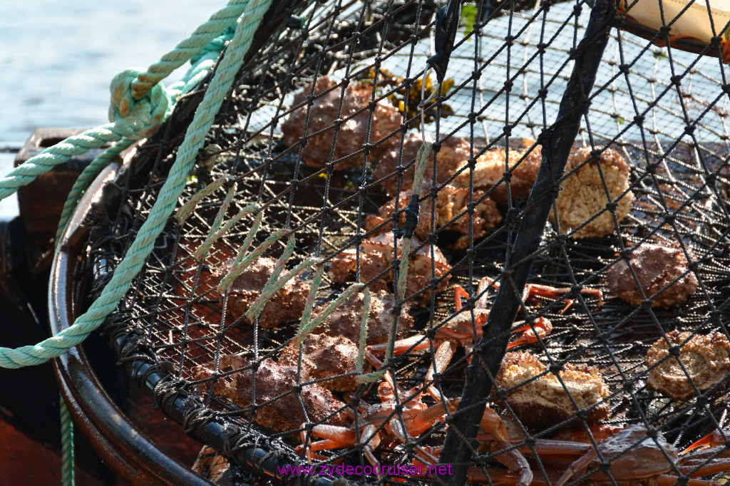 322: Carnival Miracle Alaska Cruise, Ketchikan, Bering Sea Crab Fisherman's Tour, 