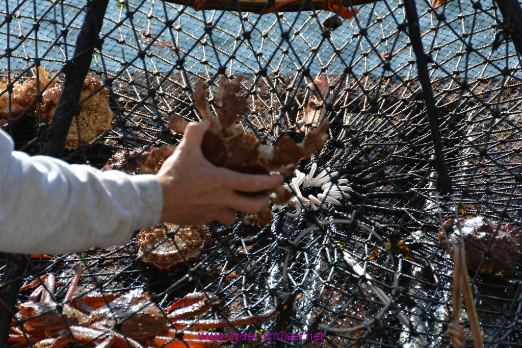 324: Carnival Miracle Alaska Cruise, Ketchikan, Bering Sea Crab Fisherman's Tour, 