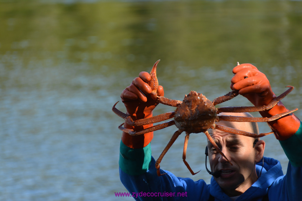 327: Carnival Miracle Alaska Cruise, Ketchikan, Bering Sea Crab Fisherman's Tour, 