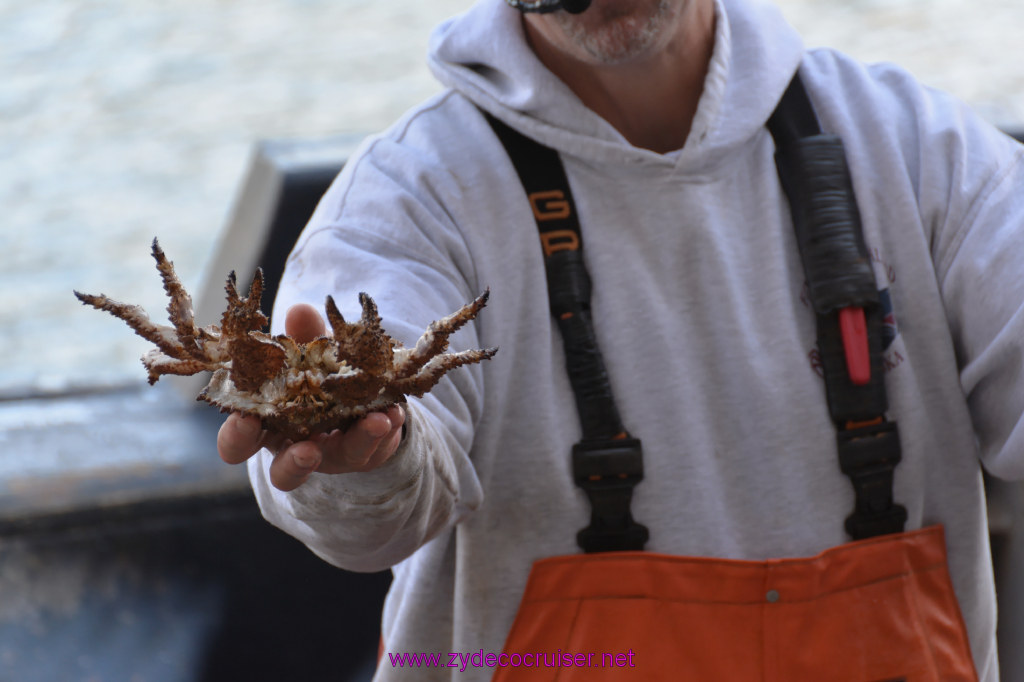 329: Carnival Miracle Alaska Cruise, Ketchikan, Bering Sea Crab Fisherman's Tour, 