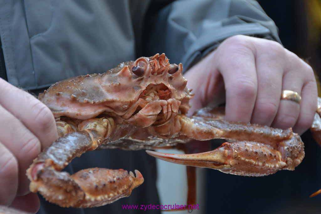 333: Carnival Miracle Alaska Cruise, Ketchikan, Bering Sea Crab Fisherman's Tour, 