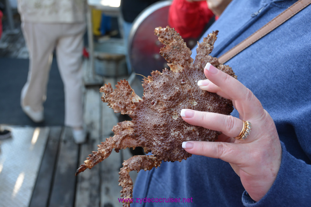 335: Carnival Miracle Alaska Cruise, Ketchikan, Bering Sea Crab Fisherman's Tour, 