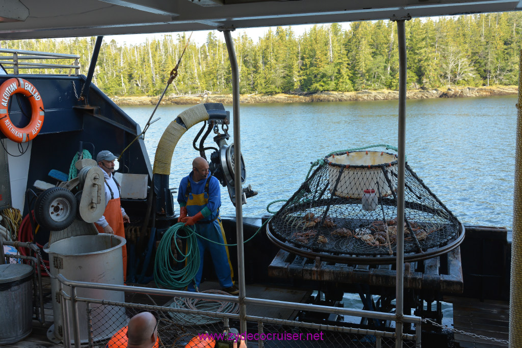 340: Carnival Miracle Alaska Cruise, Ketchikan, Bering Sea Crab Fisherman's Tour, 