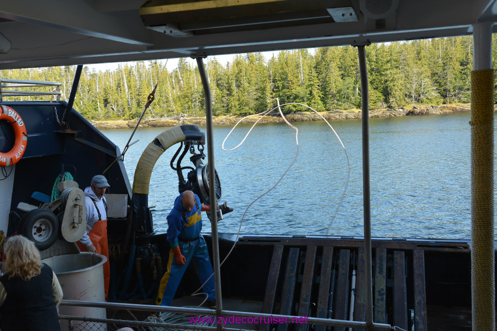 347: Carnival Miracle Alaska Cruise, Ketchikan, Bering Sea Crab Fisherman's Tour, 