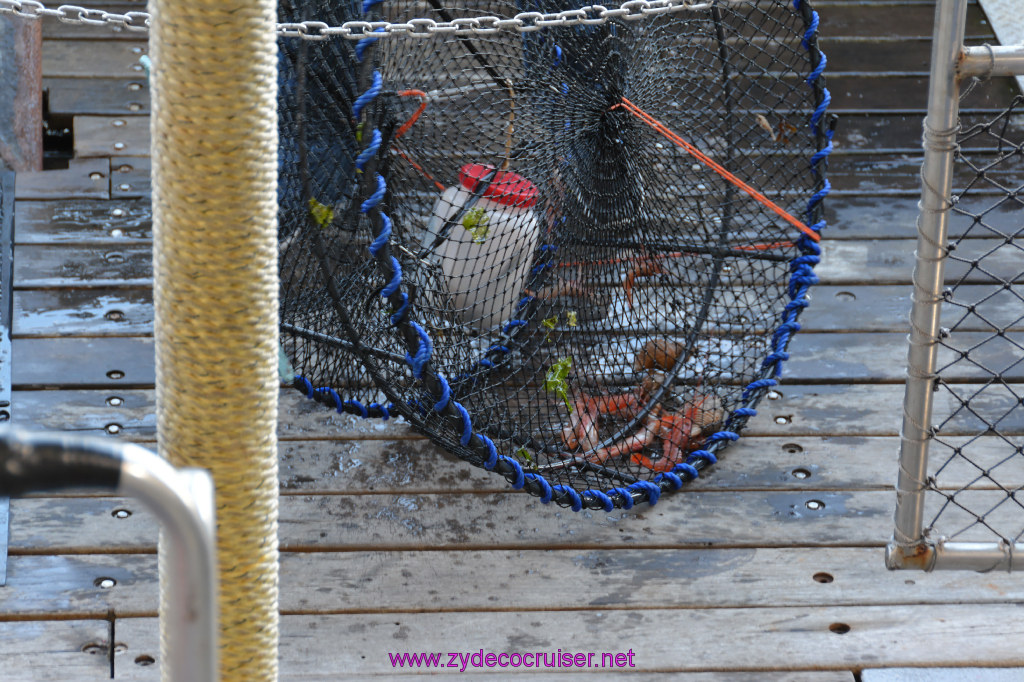 369: Carnival Miracle Alaska Cruise, Ketchikan, Bering Sea Crab Fisherman's Tour, 