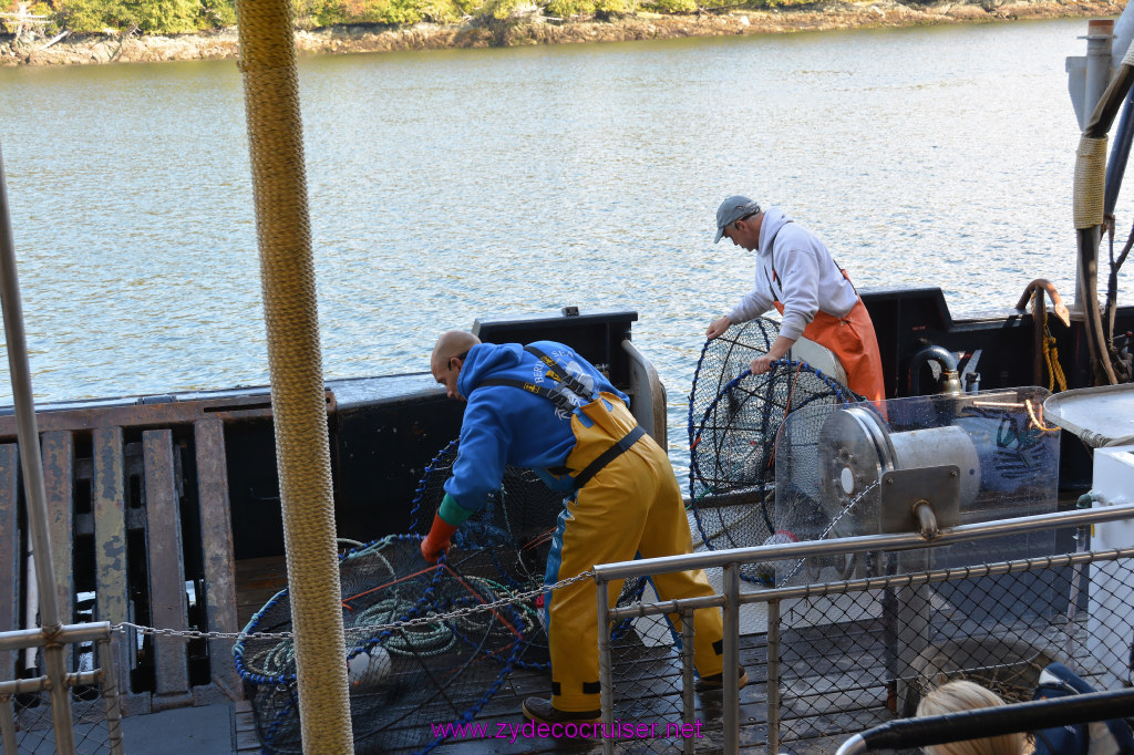 395: Carnival Miracle Alaska Cruise, Ketchikan, Bering Sea Crab Fisherman's Tour, 