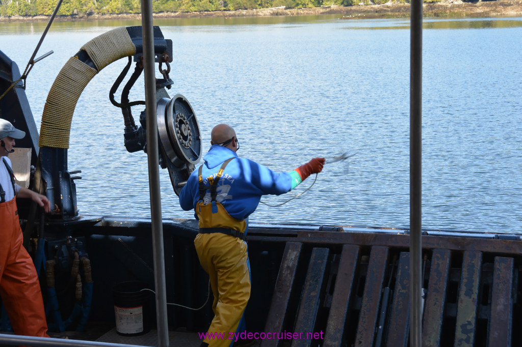401: Carnival Miracle Alaska Cruise, Ketchikan, Bering Sea Crab Fisherman's Tour, 