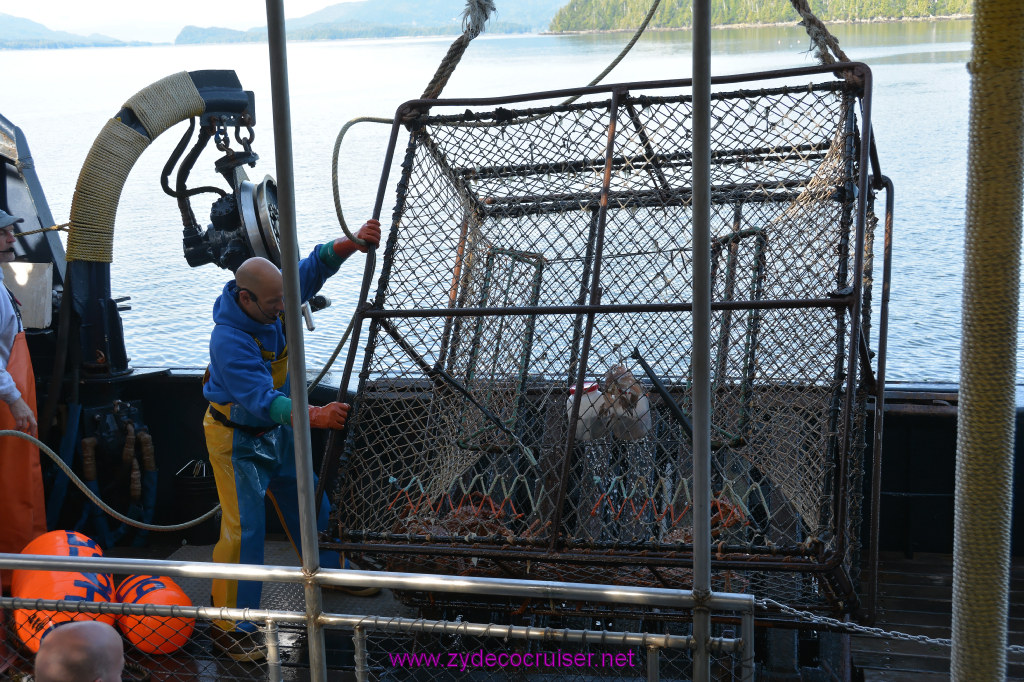 412: Carnival Miracle Alaska Cruise, Ketchikan, Bering Sea Crab Fisherman's Tour, 