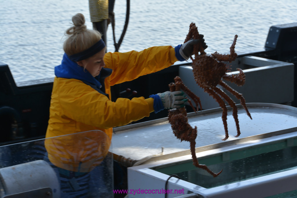 423: Carnival Miracle Alaska Cruise, Ketchikan, Bering Sea Crab Fisherman's Tour, 