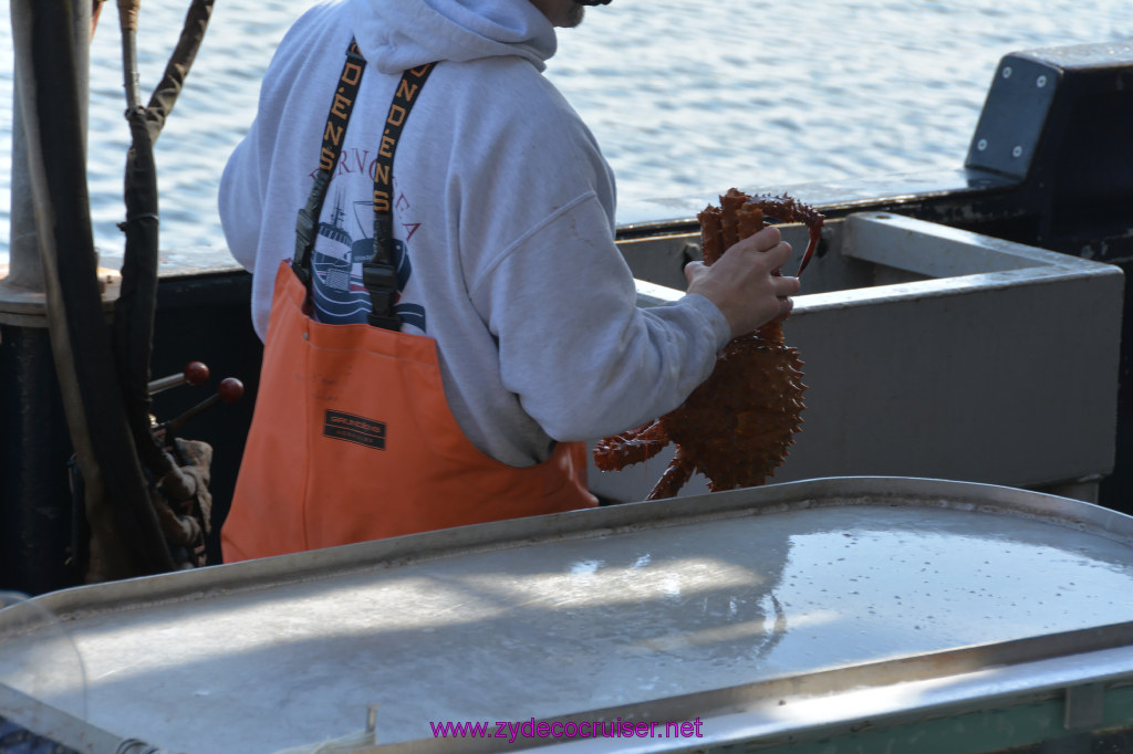 425: Carnival Miracle Alaska Cruise, Ketchikan, Bering Sea Crab Fisherman's Tour, 
