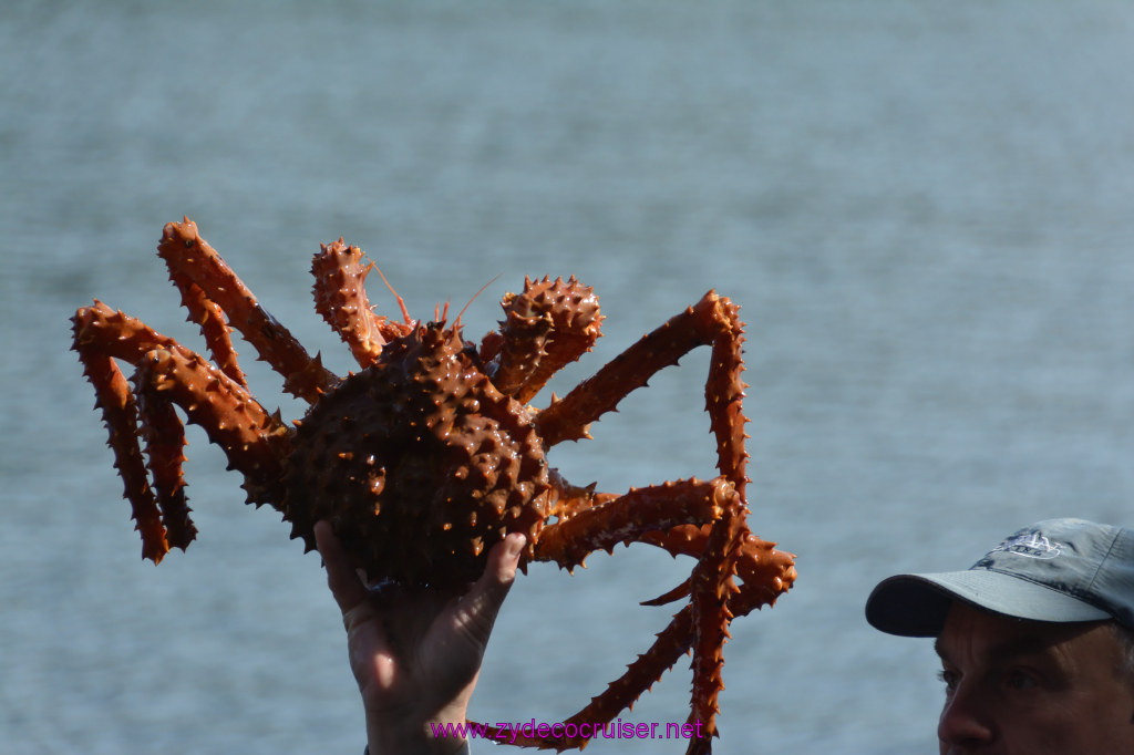 426: Carnival Miracle Alaska Cruise, Ketchikan, Bering Sea Crab Fisherman's Tour, 