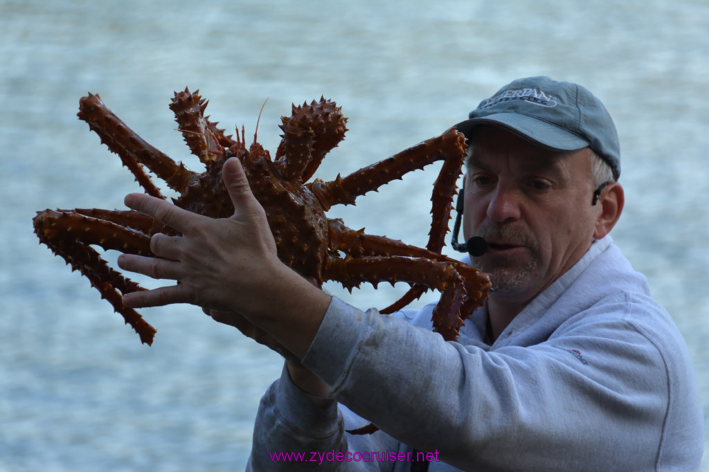 427: Carnival Miracle Alaska Cruise, Ketchikan, Bering Sea Crab Fisherman's Tour, 