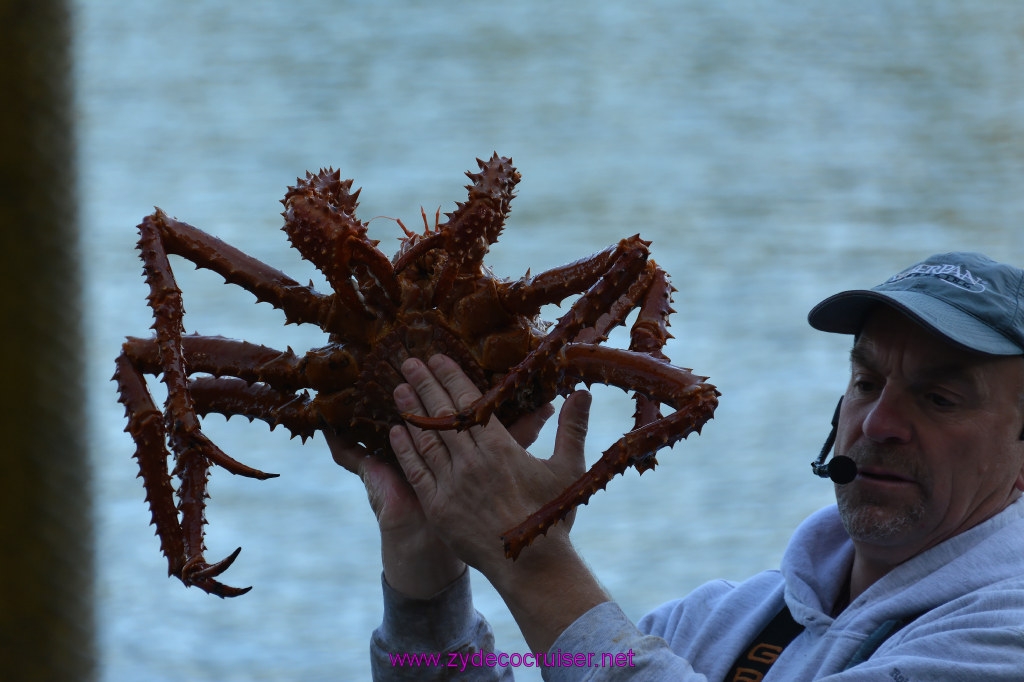 429: Carnival Miracle Alaska Cruise, Ketchikan, Bering Sea Crab Fisherman's Tour, 