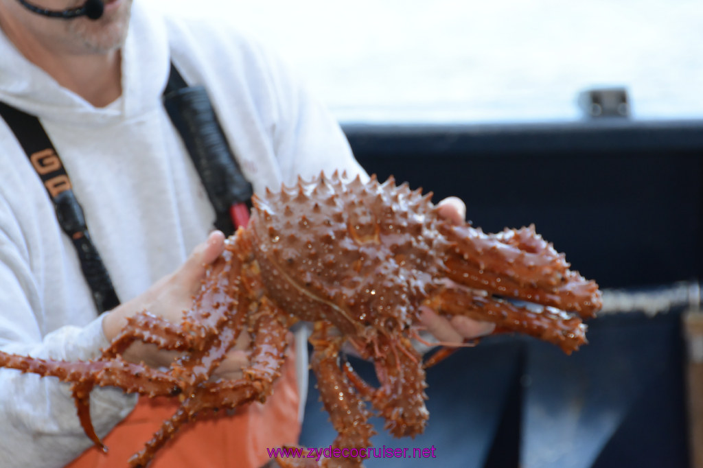 431: Carnival Miracle Alaska Cruise, Ketchikan, Bering Sea Crab Fisherman's Tour, 